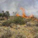آتش سوزی در دو هکتار از مراتع فریدونشهر