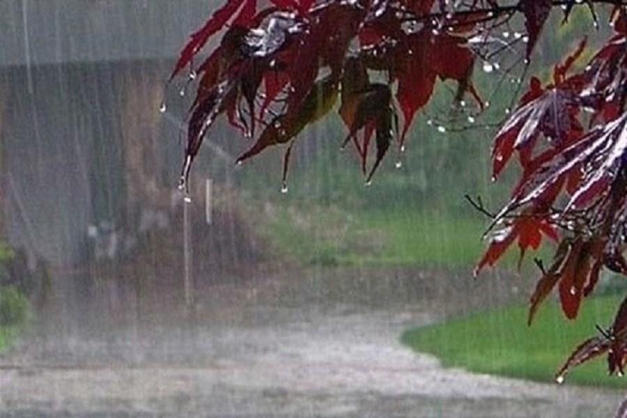 نفس کشیدن شهر و شهروندان به لطف باران